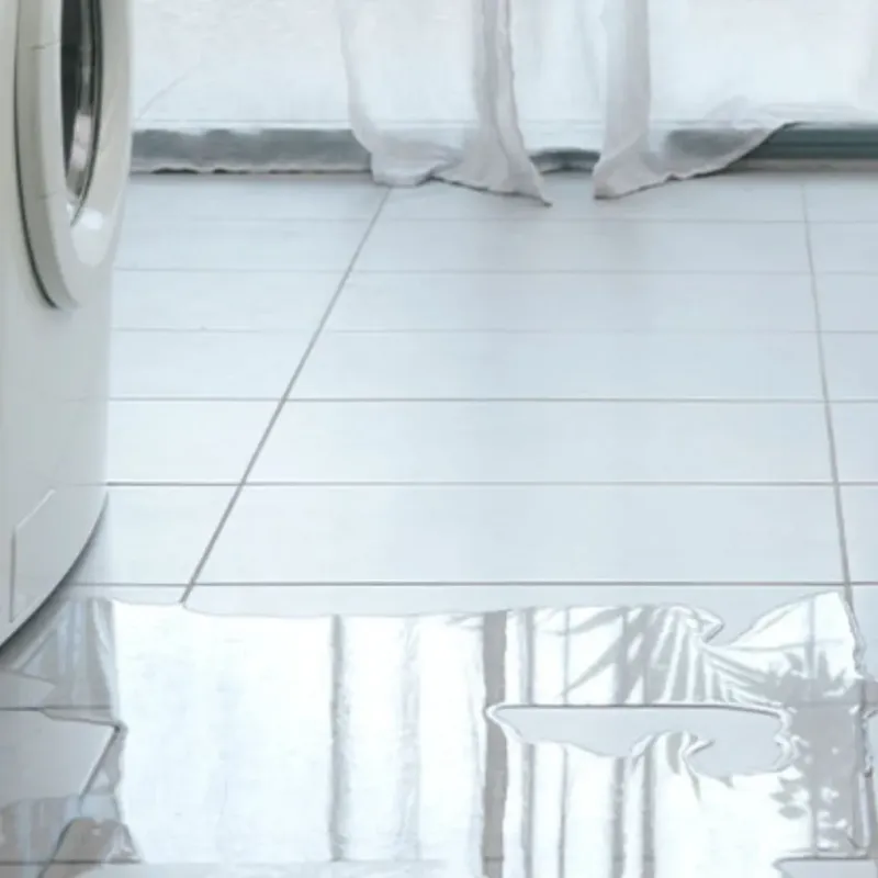 Appliance Leak Cleanup in Kirkland, IL