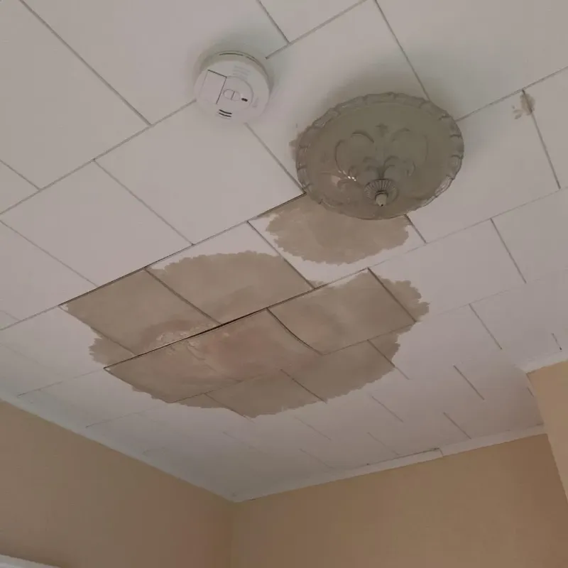 Ceiling Water Damage Repair in Kirkland, IL